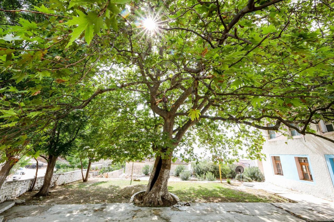 Vila Leon - Old Qeparo - 6 People 외부 사진